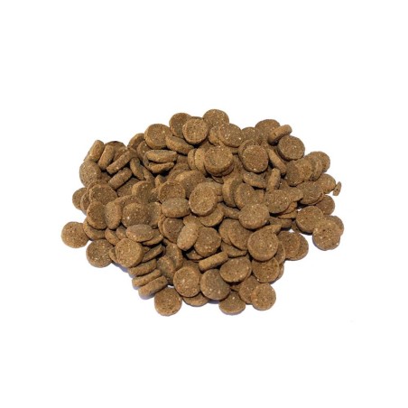 Prodac Pro Wafers 250ml/135gr - Alimento completo per pesci da fondo Prodac Pro Wafers 250ml/135gr - Alimento completo per pesci da fondo
