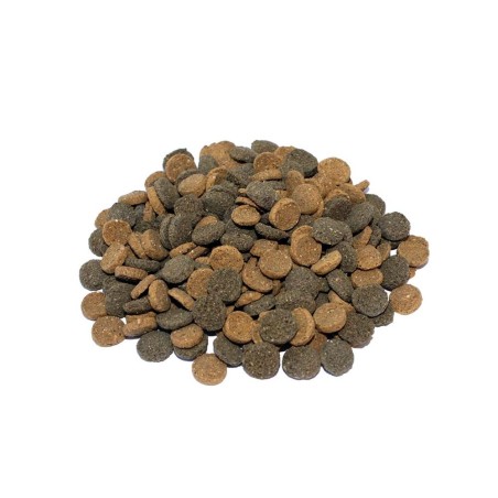 Prodac Wafers Mix 250ml/135gr - Alimento completo per pesci da fondo onnivori e per Gamberetti Prodac Wafers Mix 250ml/135gr - Alimento completo per pesci da fondo onnivori e per Gamberetti