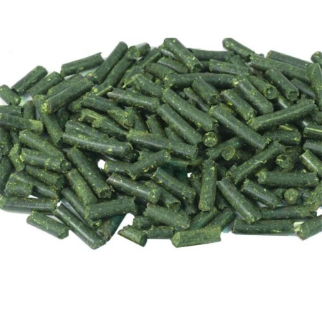 Dennerle 5866 - Crusta Brennessel Stixx 30gr - Integratore Alimentare Specifico per Invertebrati in Bastoncini con Ortica Dennerle 5866 - Crusta Brennessel Stixx 30gr - Integratore Alimentare Specifico per Invertebrati in Bastoncini con Ortica