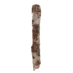Dennerle 5867 - Catappa Bark Nano - Corteccia di mandorlo indiano 2