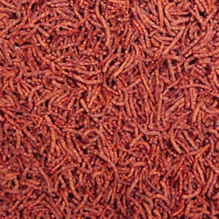 Ocean Nutrition Discus Pellets 125gr - Alimentazione Premium per Discus ed Altri Pesci Tropicali Ocean Nutrition Discus Pellets 125gr - Alimentazione Premium per Discus ed Altri Pesci Tropicali