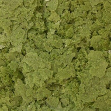 Ocean Nutrition Spirulina Flakes 34gr