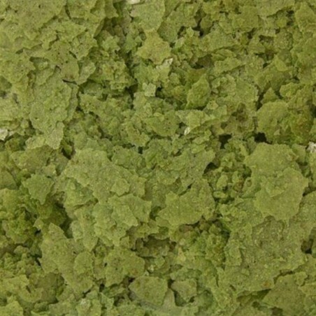 Ocean Nutrition Spirulina Flakes 34gr Ocean Nutrition Spirulina Flakes 34gr