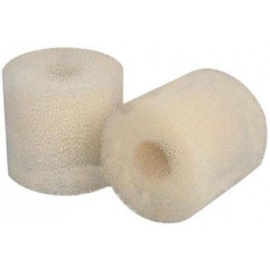 Eheim 2618080 Ricambio Spugna per Filtri Biopower 160/200/240,Aquaball 60/130/180 e prefiltro 4004320 - 2 Pezzi