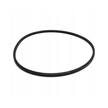 EHEIM 7343168 Ricicambio Guarniz. testata filtro Professionel 2222/24-2322 e Experience 150/250