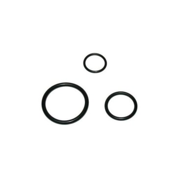 EHEIM 8000440 Ricambio O-Ring Rubinetti per Filtri Ecco Pro 2032/2034/2036 / Ecco Comfort 2232/2234/2236