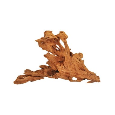Legno Mangrovia Foto Indicativa