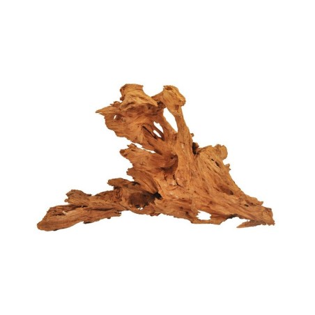 Legno Mangrovia Foto Indicativa