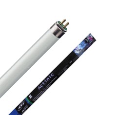 ATI Actinic Neon T5 - New Generation