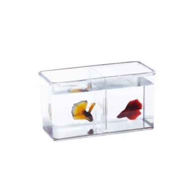 Ista Betta Double Display Case - Minibettiera in acrilico
