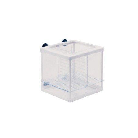 Ista Double Isolation and Breeding Box - sala parto in rete
