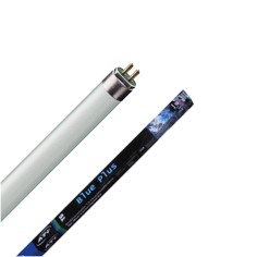 ATI Blue Plus Neon T5 - New Generation