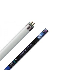 ATI Purple plus Neon T5 - New Generation