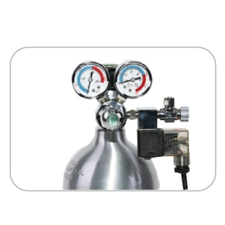 Ista Standard CO2 Controller - Riduttore di Pressione con Elettrovalvola per Bombole Ricaricabili