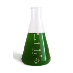 Bea Green Pro 1000ml - miscela di ceppi di fitoplancton utili come alimento e per l'abbatimento dei nutrienti