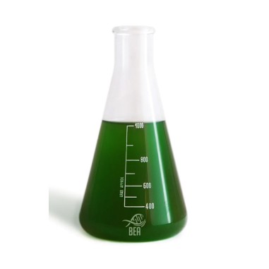 Bea Green Pro 1000ml - miscela di ceppi di fitoplancton utili come alimento e per l'abbatimento dei nutrienti