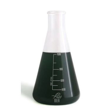 Bea Black Pro 1000ml - ceppi di batteri,...