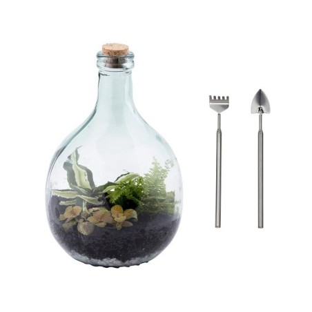 Terrario Bottle Garden 5L cm21,6x21,6x33,5h - terrario in bottiglia di vetro con kit di manutenzione