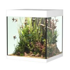 Askoll Opera 80 colore bianco senza supporto - acquario...