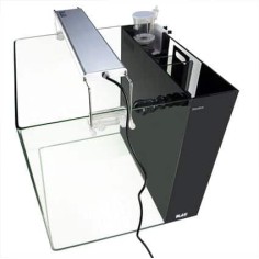 Blau Aquaristic All In One 80 Freshwater White - acquario...