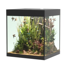 Askoll Opera 80 colore nero senza supporto - acquario con...