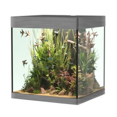 Askoll Opera 80 colore Steel senza supporto - acquario...