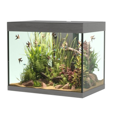 Askoll Opera 110 colore Steel senza supporto -...