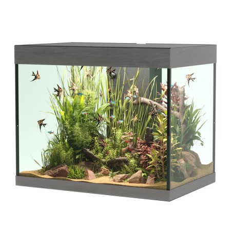 Askoll Opera 110 colore Steel senza supporto - acquario con filtro interno, lampada LED e riscaldatore