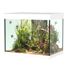 Askoll Opera 110 colore Bianco senza supporto - acquario...