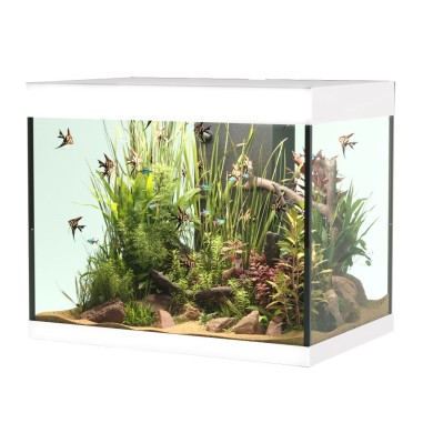 Askoll Opera 110 colore Bianco senza supporto -...