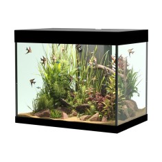 Askoll Opera 110 colore Nero senza supporto - acquario...