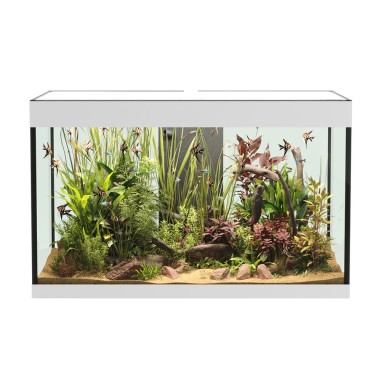Askoll Opera 150 colore Bianco senza supporto -...