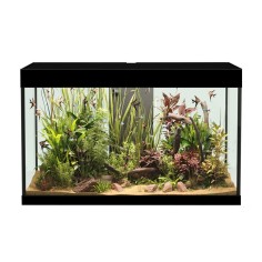 Askoll Opera 150 colore Nero senza supporto - acquario...