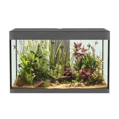 Askoll Opera 150 colore Steel senza supporto - acquario...