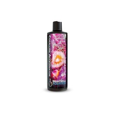 Brightwell Aquatics Coralline Accelerator - stimolatore di alghe coralline
