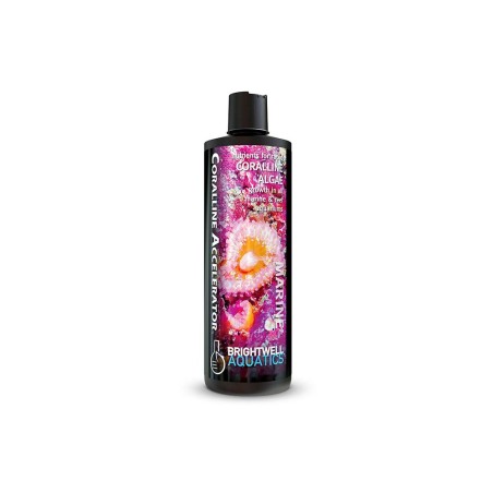 Brightwell Aquatics Coralline Accelerator - stimolatore di alghe coralline