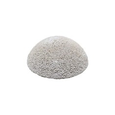 Brightwell Aquatics HemiXSphere - basetta emisferica per la taleazione dei coralli 1pz 2