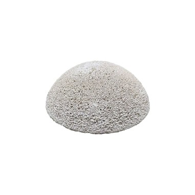 Brightwell Aquatics HemiXSphere - basetta emisferica per la taleazione dei coralli 1pz