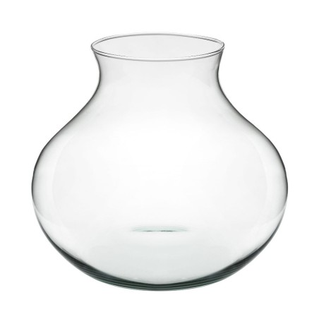 Terrario Bottle Garden Anfora per Terrario in vetro cm26x24h