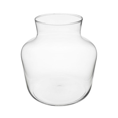 Terrario Bottle Garden Anfora per Terrario in vetro cm23x24h