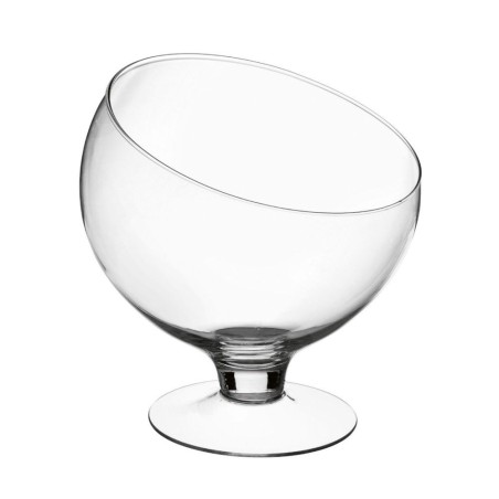 Terrario Bottle Garden Coppa con taglio obliquo per Terrario in vetro cm25x28h