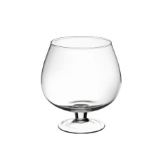 Terrario Bottle Garden Coppa per Terrario in vetro cm19x21h