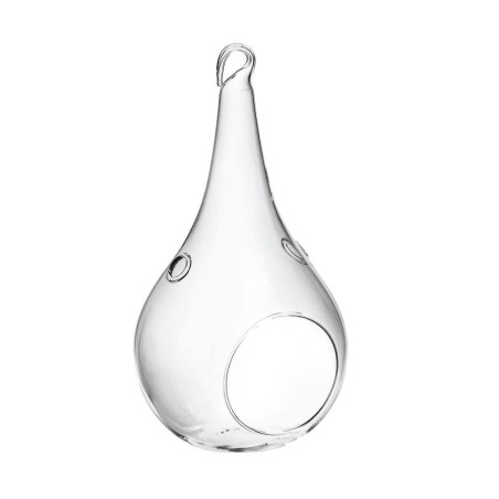 Terrario Bottle Garden Goccia forata da appendere per Terrario in vetro cm12x23h
