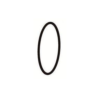Deltec Ricambio O-ring per bichierre skimmer...