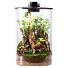 Bioloark Bio Bottle ZD200 cm20x34,3h - terrario...