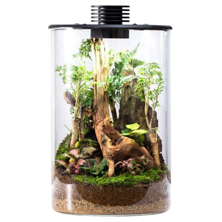 Bioloark Bio Bottle ZD200 cm20x34,3h - terrario cilindrico in vetro con sistema di aerazione e illuminazione LED
