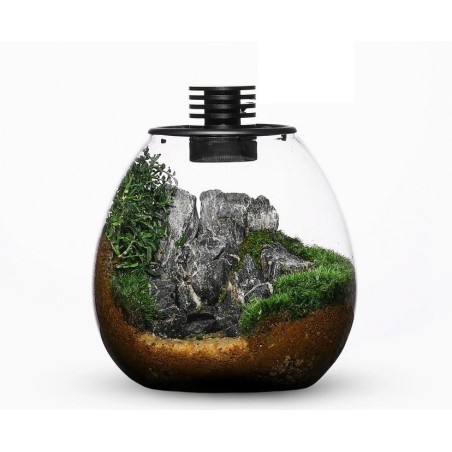 Bioloark Bio Bottle PD170 cm17,5x19,5h - terrario a bolla in vetro con sistema di aerazione e illuminazione LED