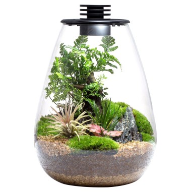 Bioloark Bio Bottle SD175 cm17,5x23h - terrario...