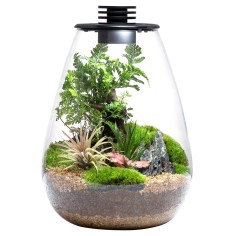 Bioloark Bio Bottle SD200 cm20x26h - terrario a goccia in...
