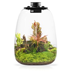 Bioloark Bio Bottle QD172 cm17,5x23h - terrario a bolla...